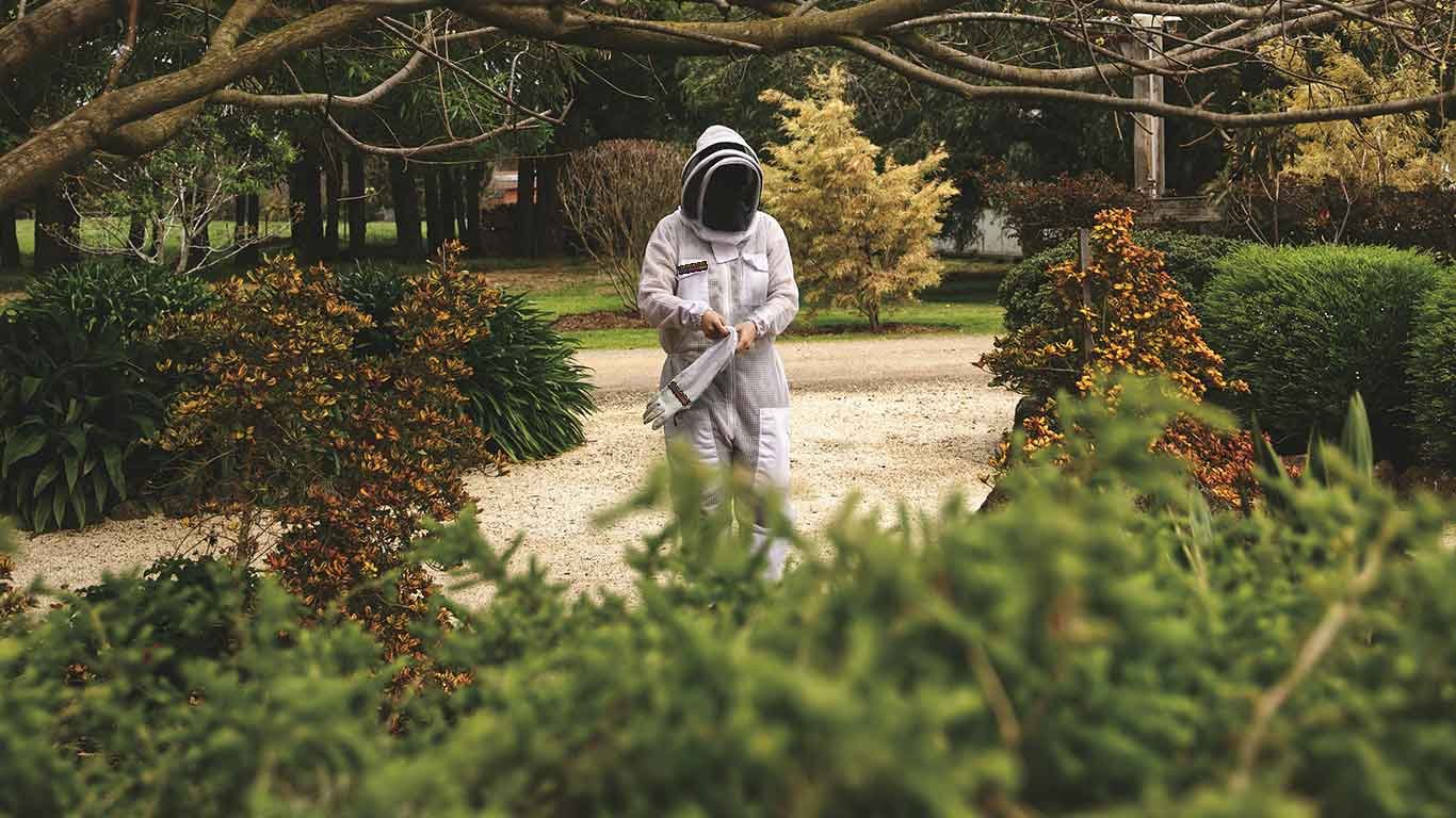 Why White is the Best Color for Beekeeping Suits: A Comprehensive Guide