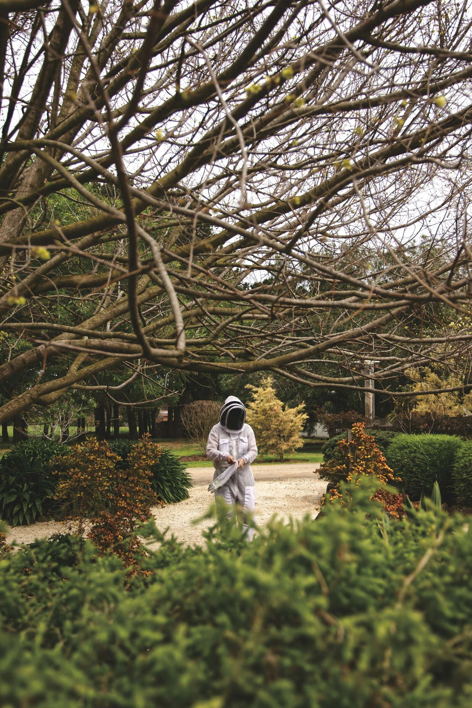Choosing the Right Beekeeping Suit Size: A Guide for Small and Medium Sizes