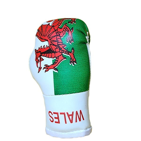 Mbg N6020o061 Wales Mini Boxing Gloves Jawadis 1