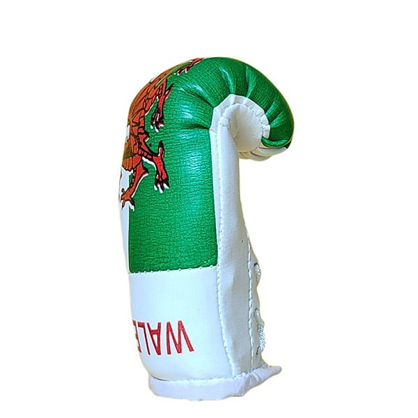 Mbg N6020o061 Wales Mini Boxing Gloves Jawadis 2