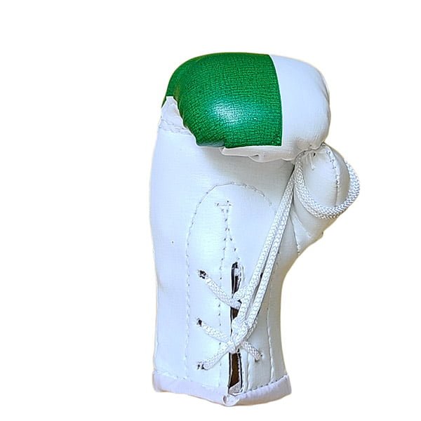Mbg N6020o061 Wales Mini Boxing Gloves Jawadis 4