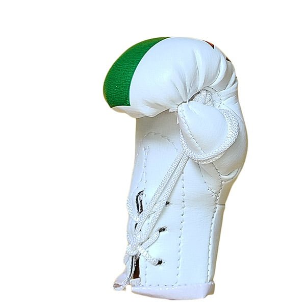 Mbg N6020o061 Wales Mini Boxing Gloves Jawadis 5