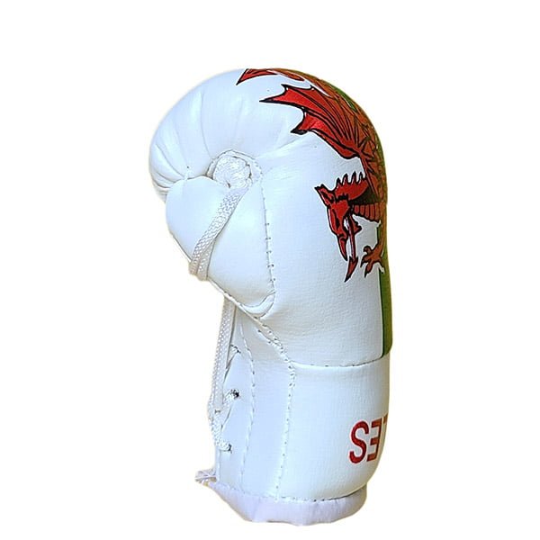 Mbg N6020o061 Wales Mini Boxing Gloves Jawadis 6