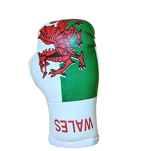 Mbg N6020o061 Wales Mini Boxing Gloves Jawadis 8