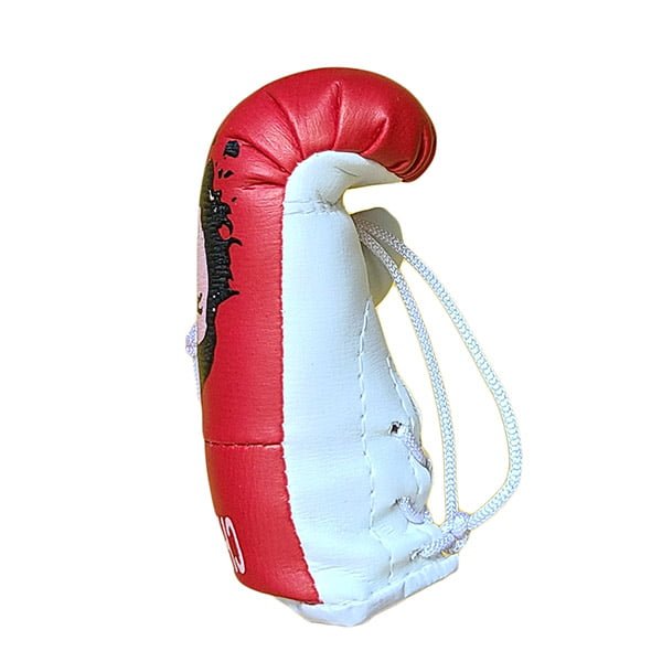 Mbg N6020o203 Che Guevara Mini Gloves Souvenir Jawadis 3