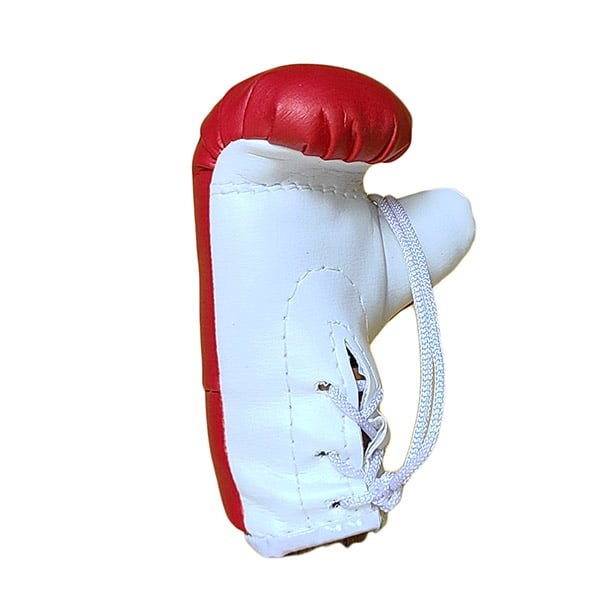 Mbg N6020o203 Che Guevara Mini Gloves Souvenir Jawadis 4