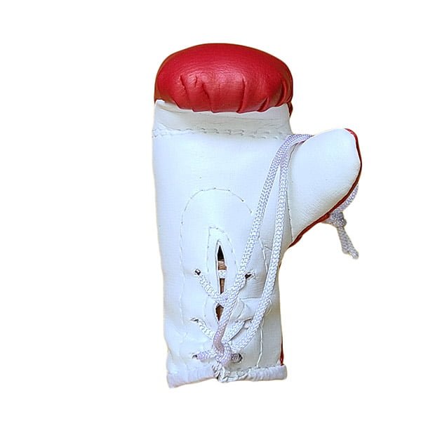 Mbg N6020o203 Che Guevara Mini Gloves Souvenir Jawadis 5