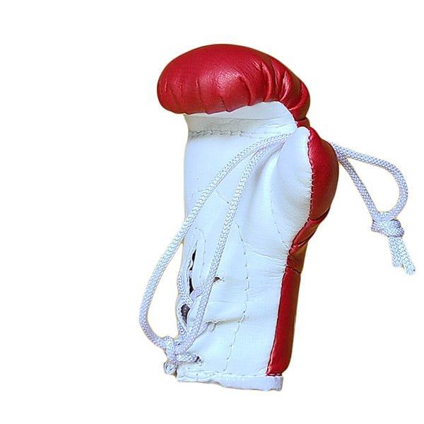 Mbg N6020o203 Che Guevara Mini Gloves Souvenir Jawadis 6