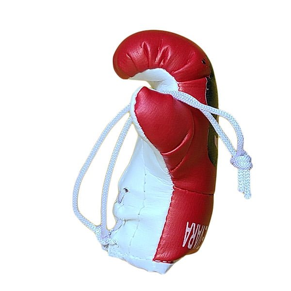 Mbg N6020o203 Che Guevara Mini Gloves Souvenir Jawadis 7