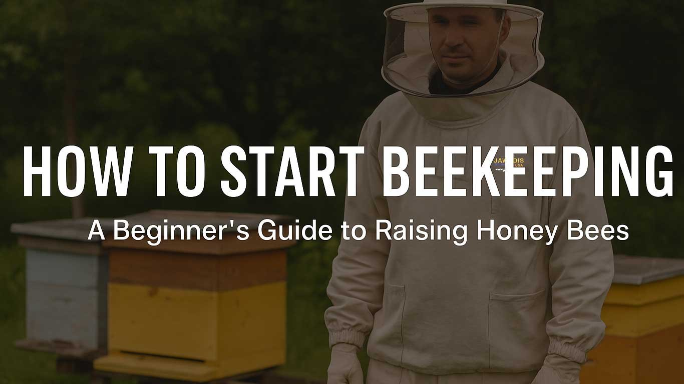 How to Start Beekeeping: A Beginner’s Guide to Raising Honey Bees 2025
